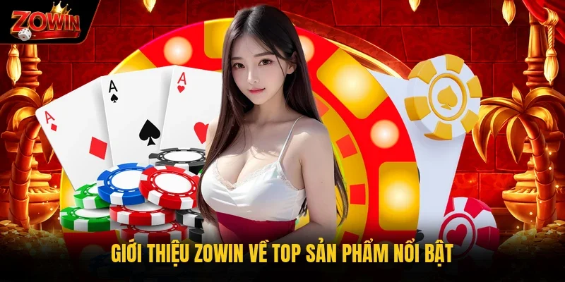 Giới thiệu Zowin về top sản phẩm nổi bật